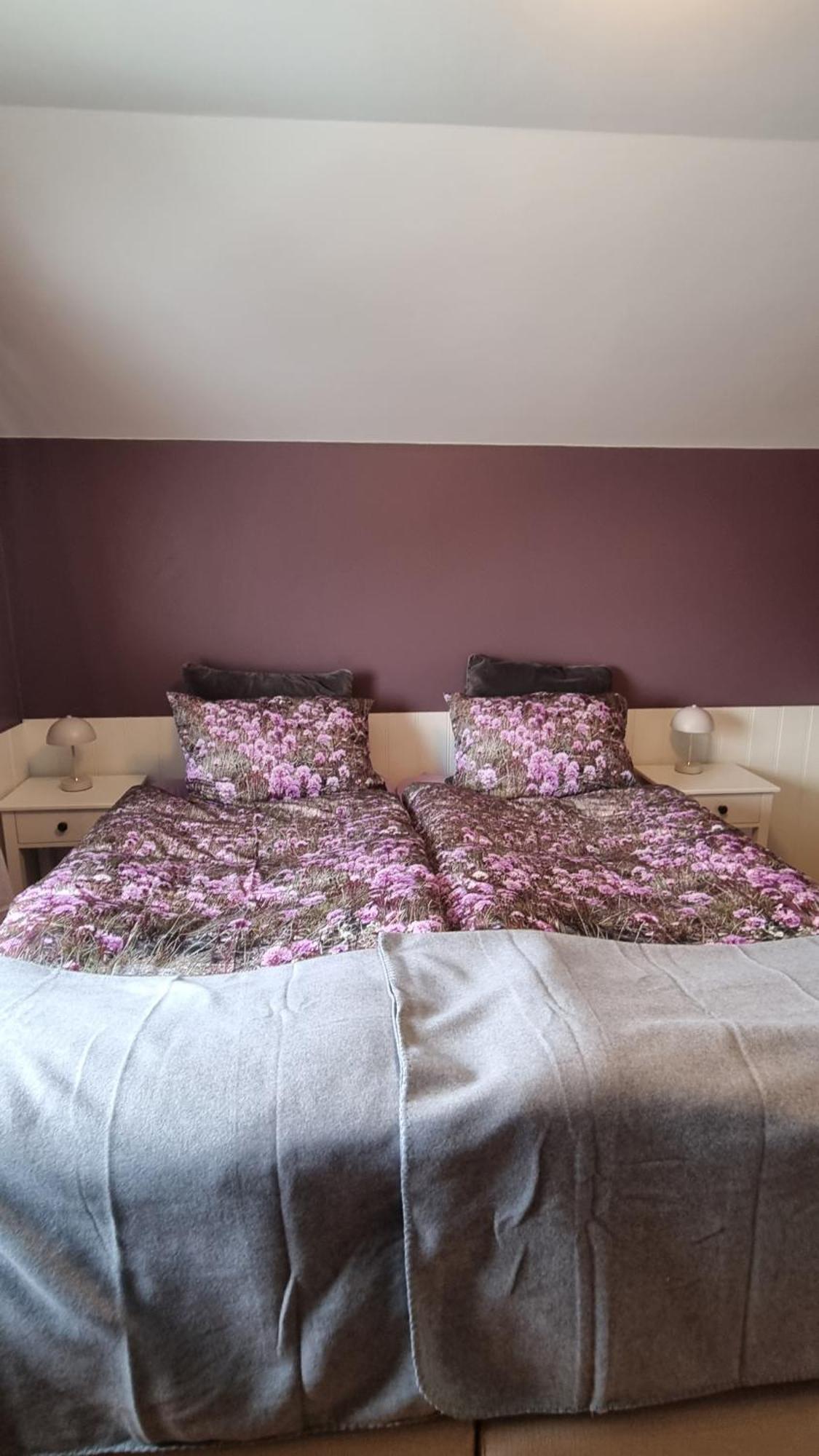 Fornilaekur Guesthouse Blonduos Zewnętrze zdjęcie