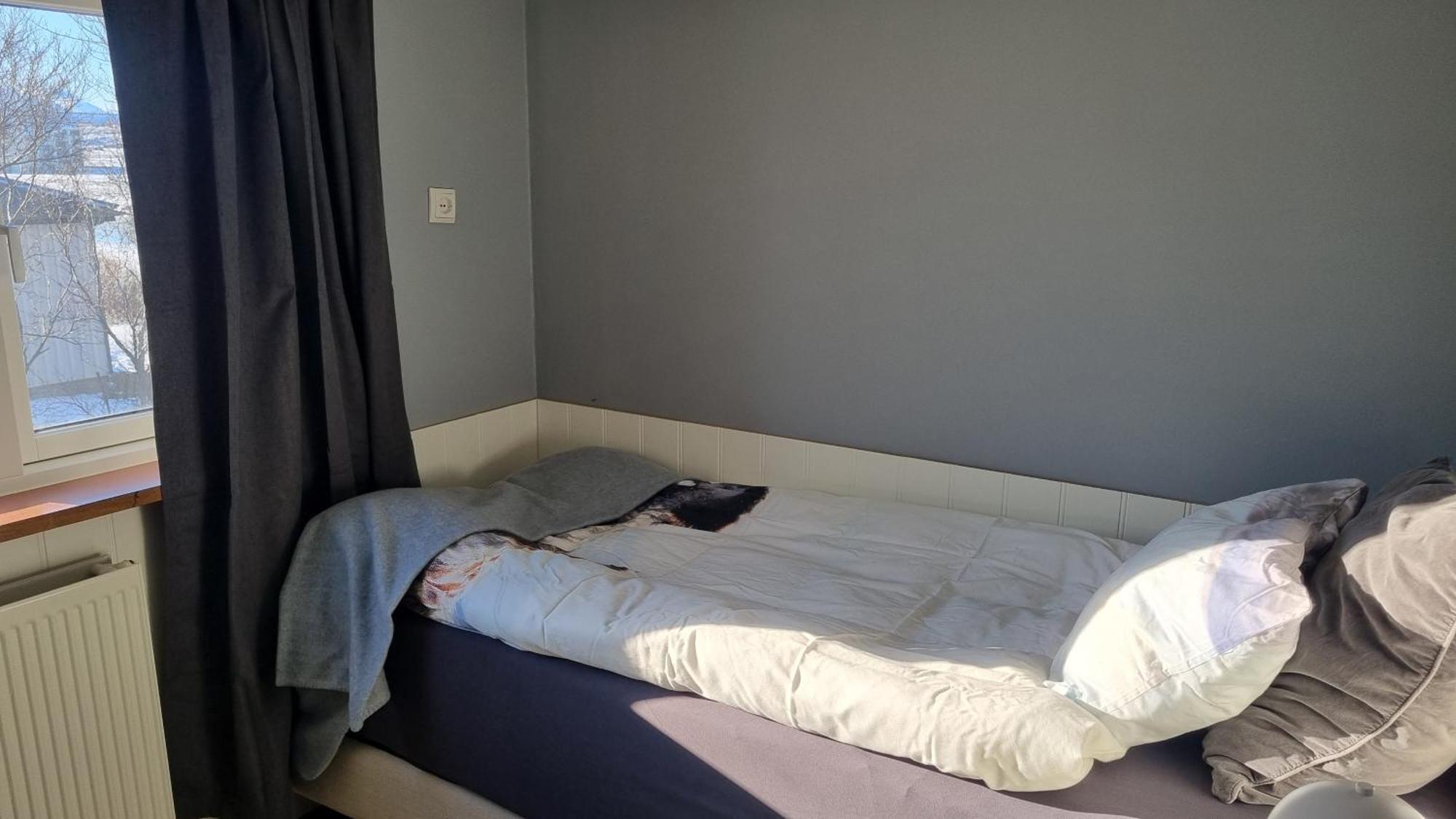 Fornilaekur Guesthouse Blonduos Zewnętrze zdjęcie